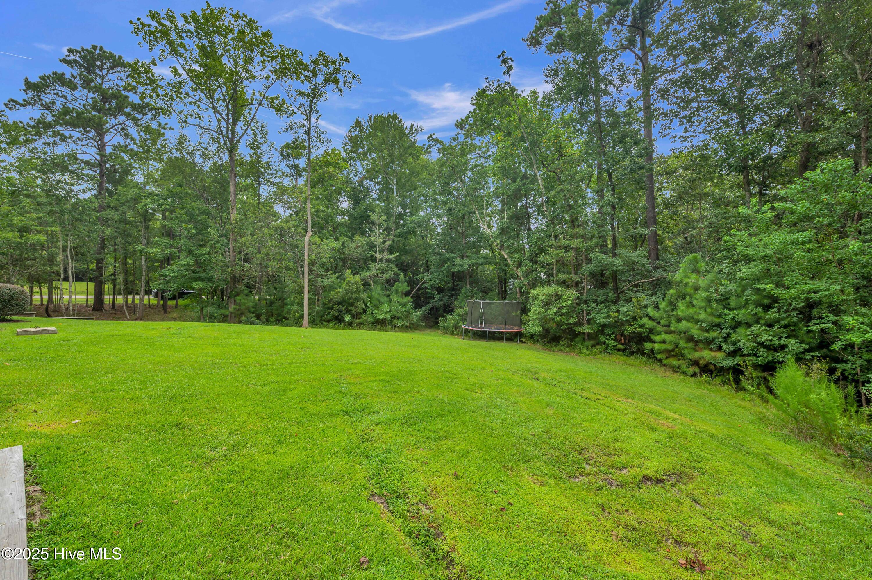 102 Chuckanut Drive Hampstead, NC 28443 - Photo 39 of 46 39_102 chuckanut dr-00039