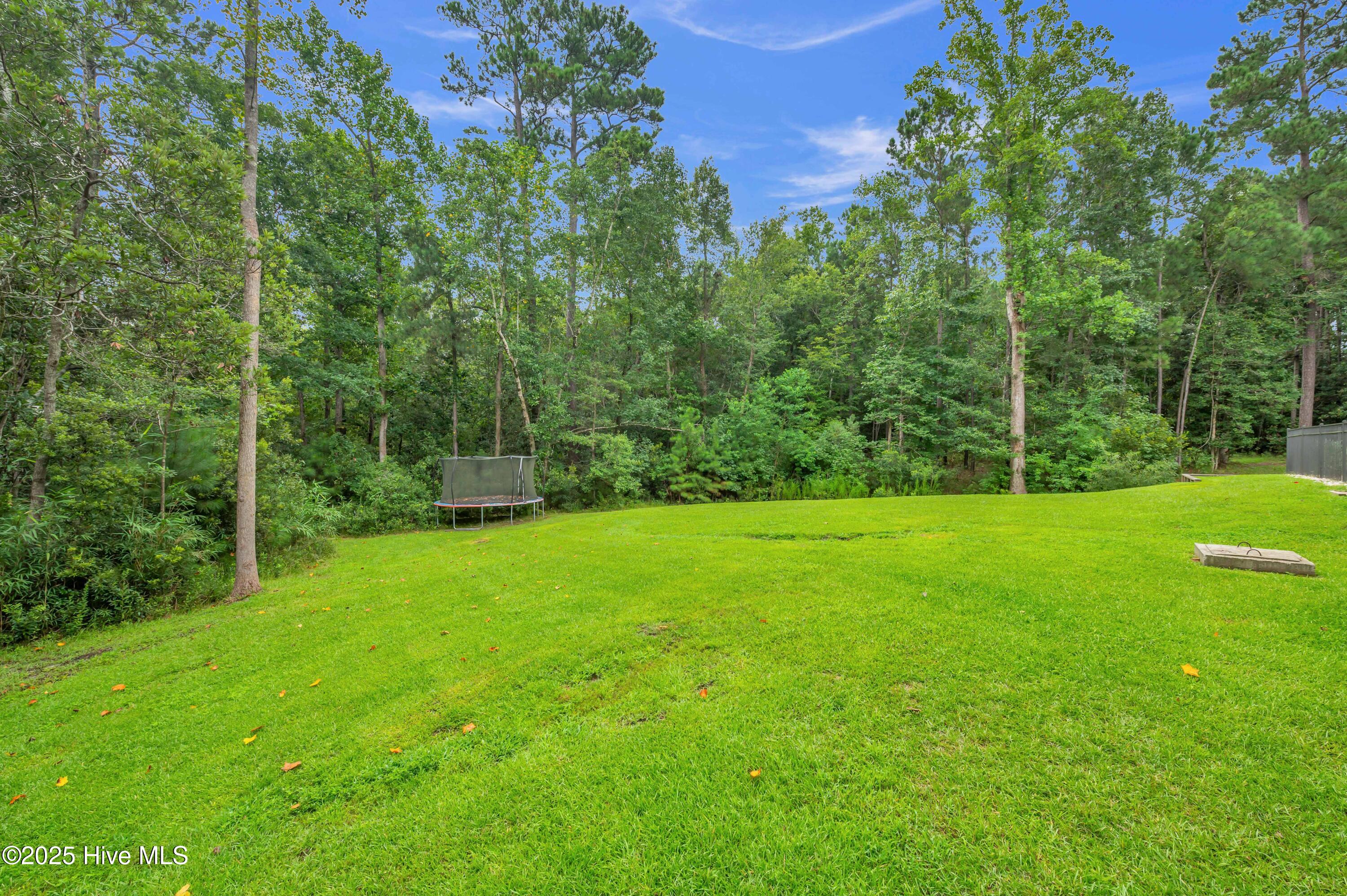 102 Chuckanut Drive Hampstead, NC 28443 - Photo 40 of 46 40_102 chuckanut dr-00040