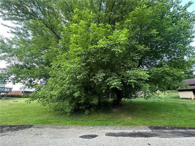 0 James Avenue Monroeville, PA 15146 - Photo 2 of 7 a view of a trees in a yard