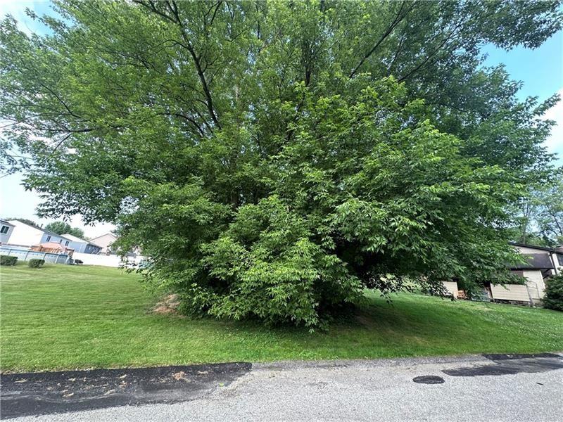 0 James Avenue Monroeville, PA 15146 - Photo 3 of 7 a view of a park