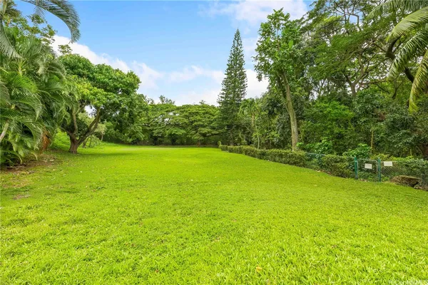 a view of a park with large trees