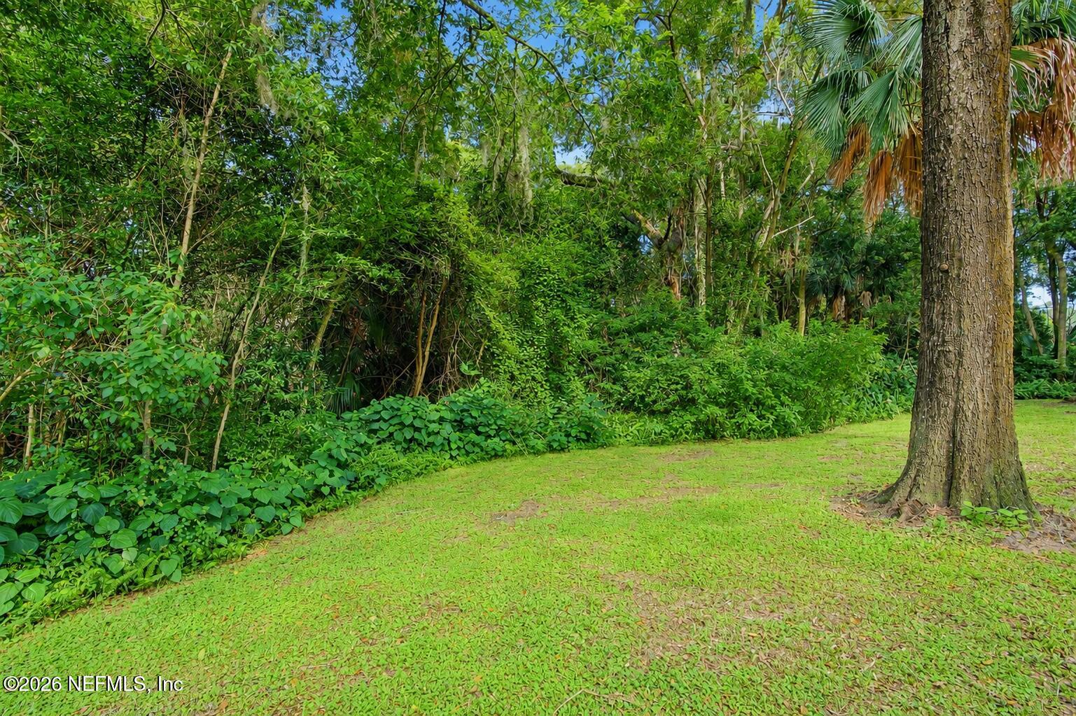 681 Mickler Road Jacksonville, FL 32211 - Photo 28 of 32 SIDE YARD