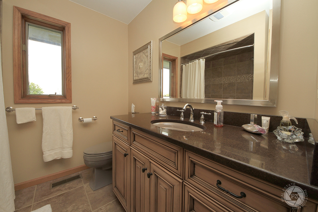 4900 Stockdale Road Morris, IL 60450 - Photo 25 of 33 a bathroom with a granite countertop sink a mirror and a window