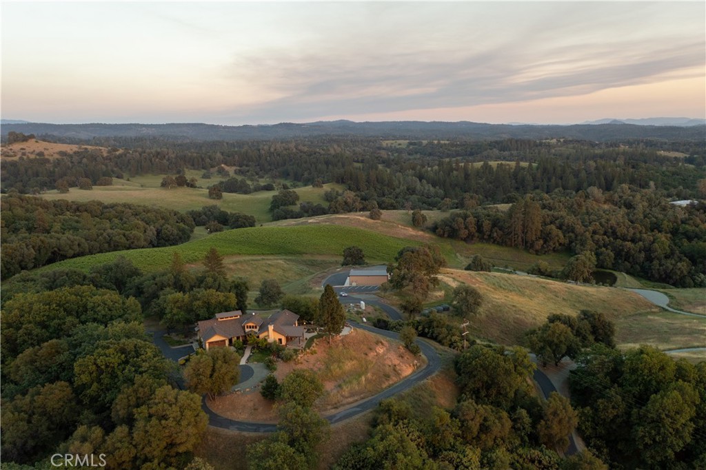 15000 Tyler Road Fiddletown, CA 95629 - Photo 2 of 10