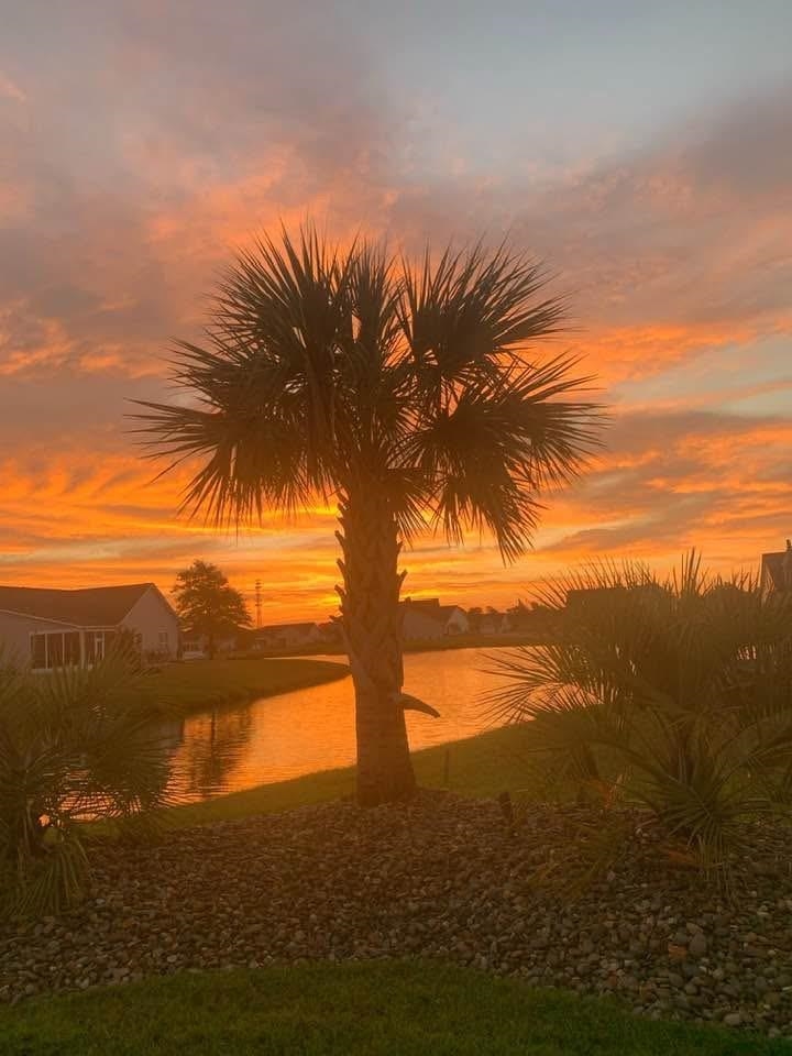 1479 Coventry Road Surfside Beach, SC 29575 - Photo 38 of 39