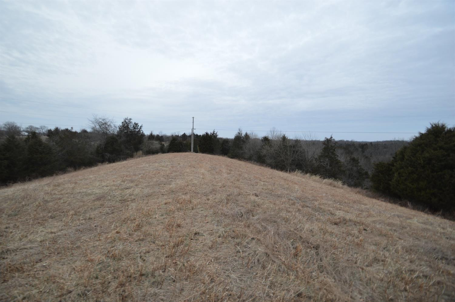 1170 Dennis Road, Unit 9 Lawrenceburg, KY 40342 - Photo 8 of 12 Photo 8
