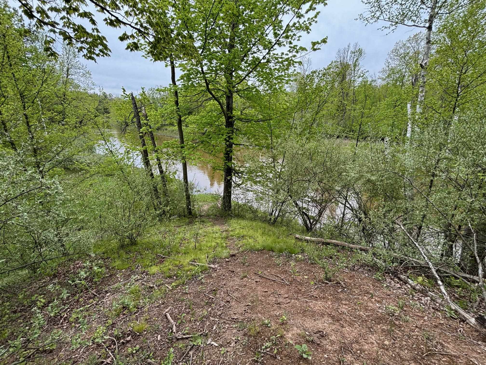 1240 Birch Ridge Road Gladwin, MI 48624 - Photo 1 of 41