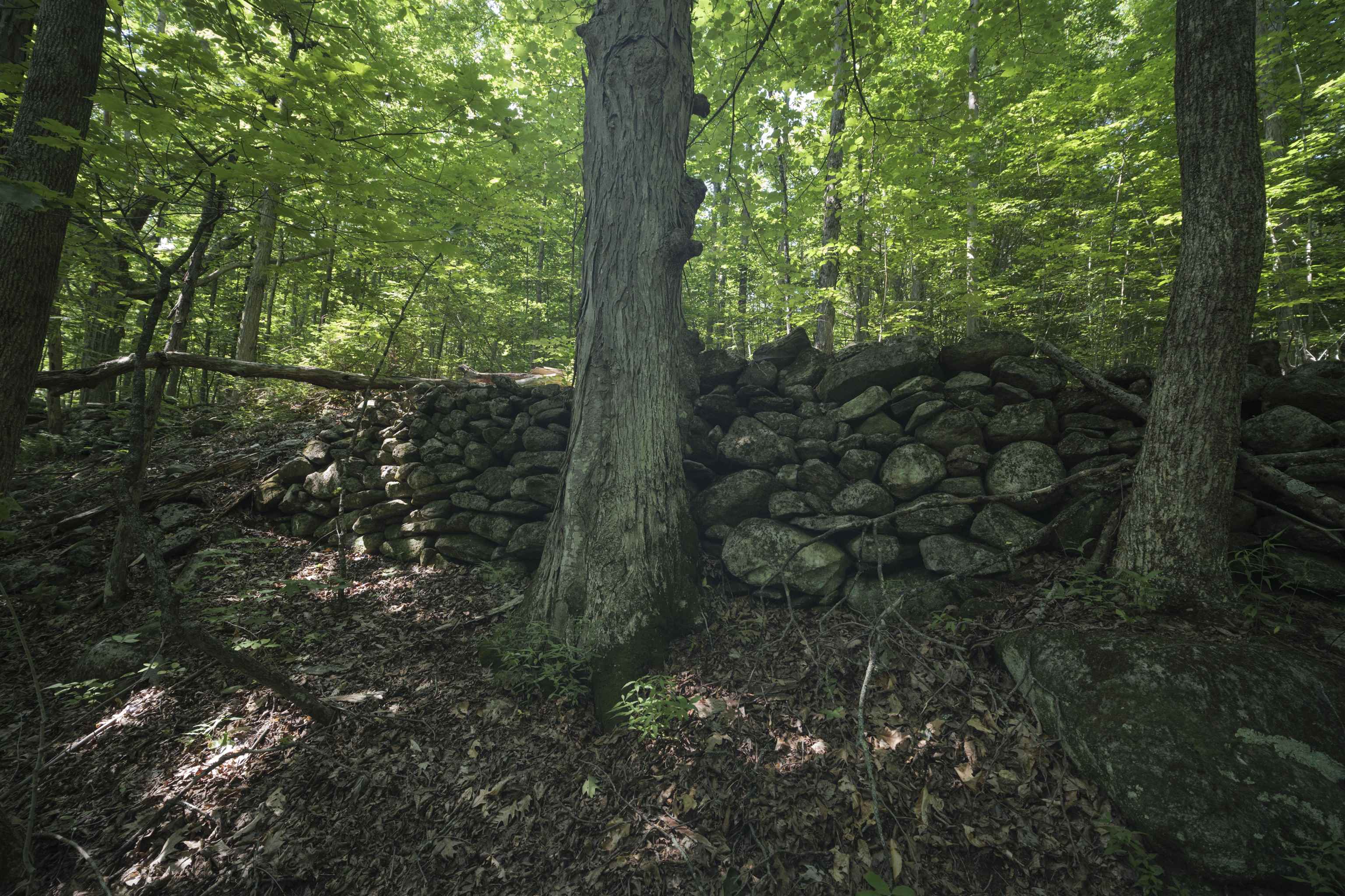 0 Howe Farm Road Jamaica, VT 05343 - Photo 22 of 25