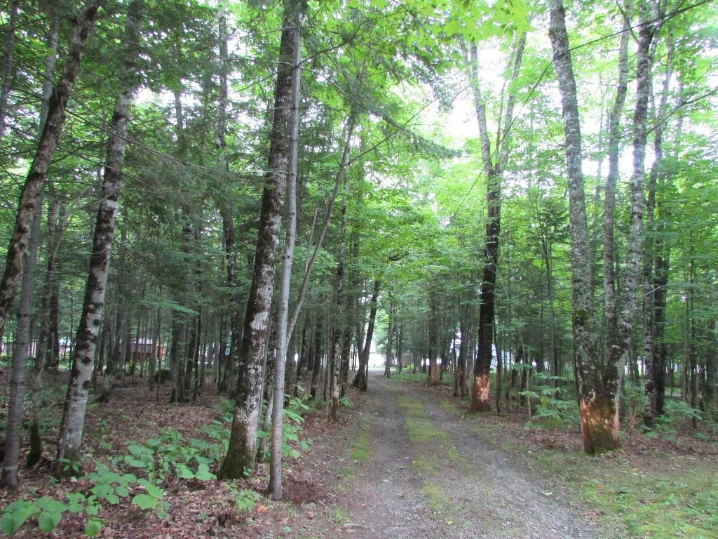 300 W Road Portage Lake, ME 04768 - Photo 18 of 19 Photo