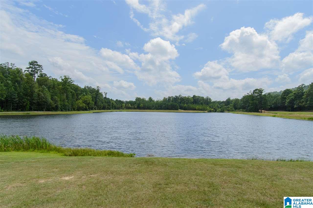 4064 Forest Lakes Road Sterrett, AL 35147 - Photo 29 of 33