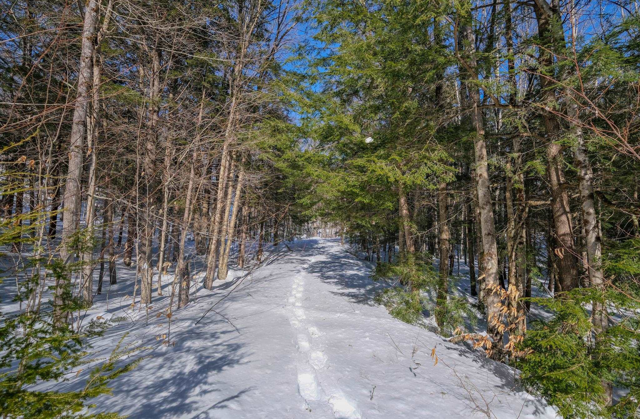 0 Woods Road West, Unit LOT #33 Ludlow, VT 05149 - Photo 2 of 22