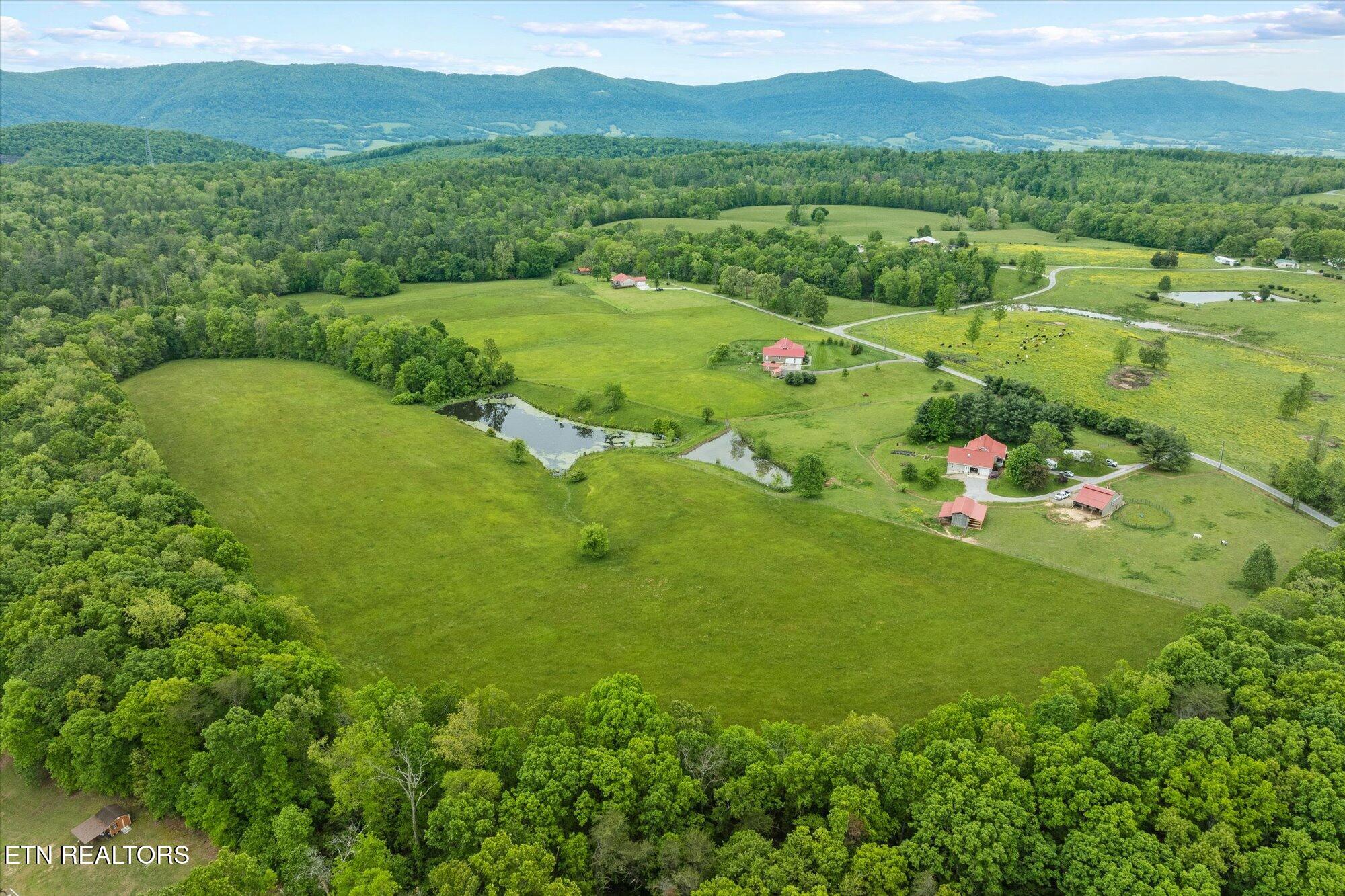 27.33-ac Fields Road Crossville, TN 38572 - Photo 6 of 13 04-Fields Rd, Crossville _0305