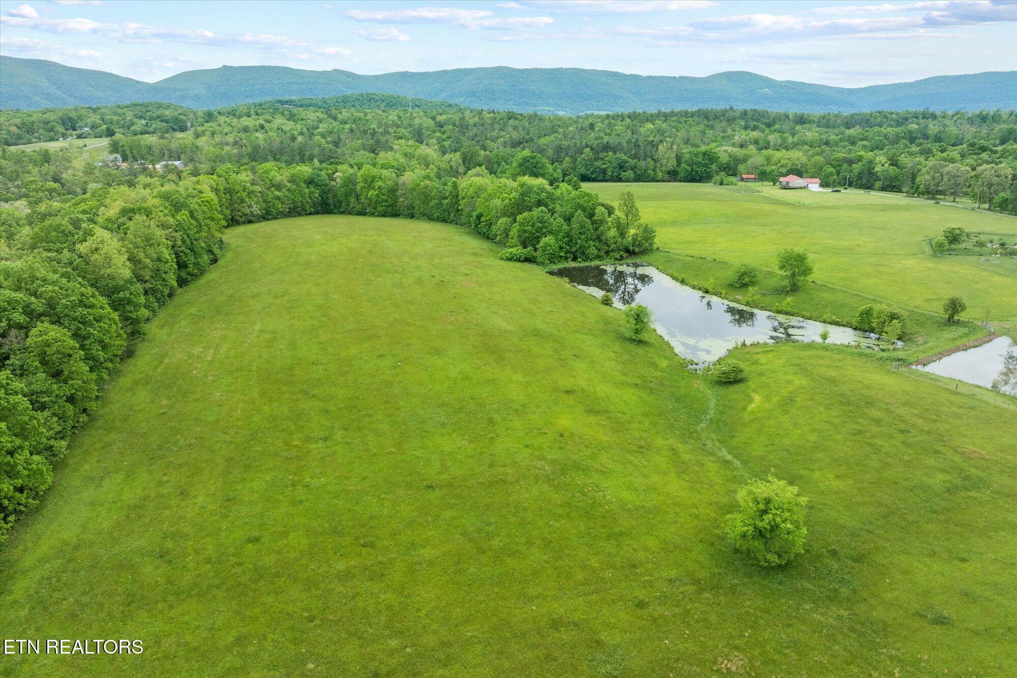 27.33-ac Fields Road Crossville, TN 38572 - Photo 9 of 13 07-Fields Rd, Crossville _0342