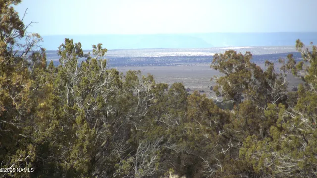 an aerial view of a houses with a yard