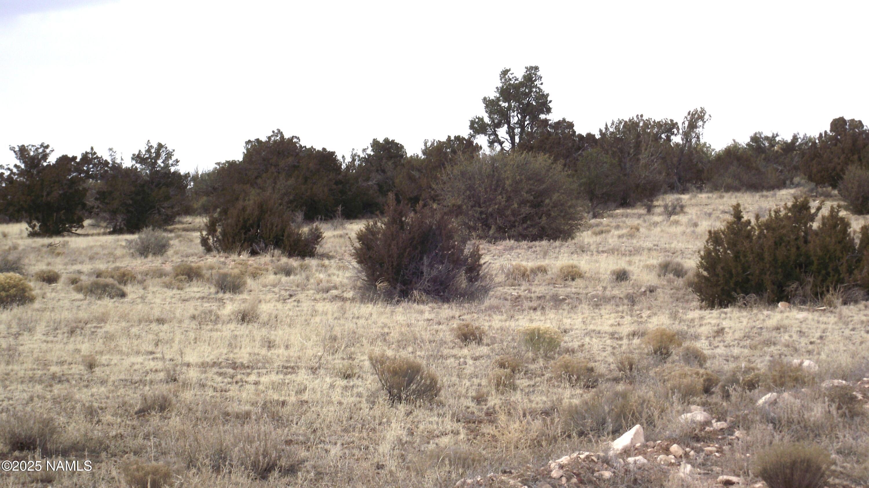 1255 West Half Hitch Road Williams, AZ 86046 - Photo 5 of 6 a view of a yard covered in snow