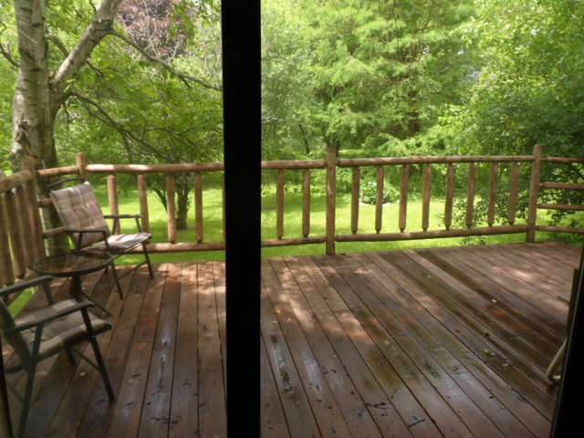 5N476 Brown Road St. Charles, IL 60175 - Photo 13 of 25 a view of a balcony with lake view