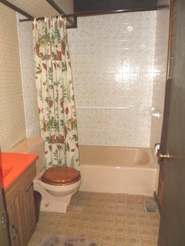 5N476 Brown Road St. Charles, IL 60175 - Photo 14 of 25 a bathroom with a toilet and a shower
