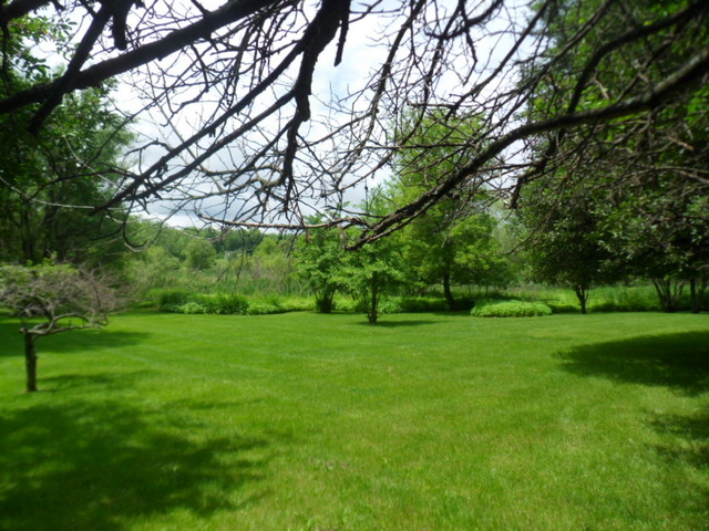 5N476 Brown Road St. Charles, IL 60175 - Photo 25 of 25 a view of a grassy field with trees