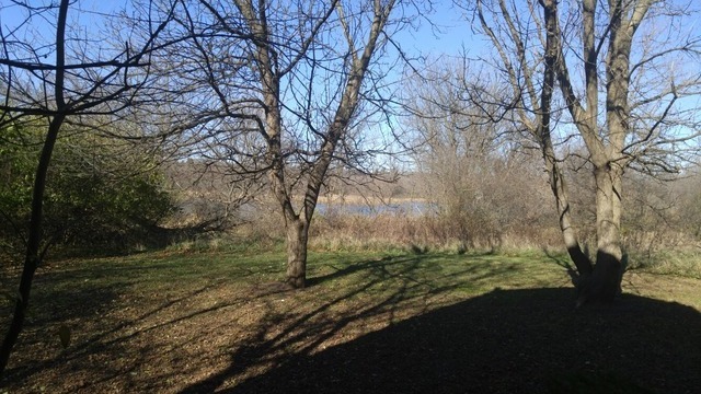 5N476 Brown Road St. Charles, IL 60175 - Photo 9 of 25 a view of a yard with a tree