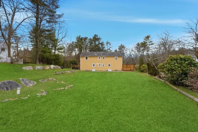 a view of a big yard with palm trees