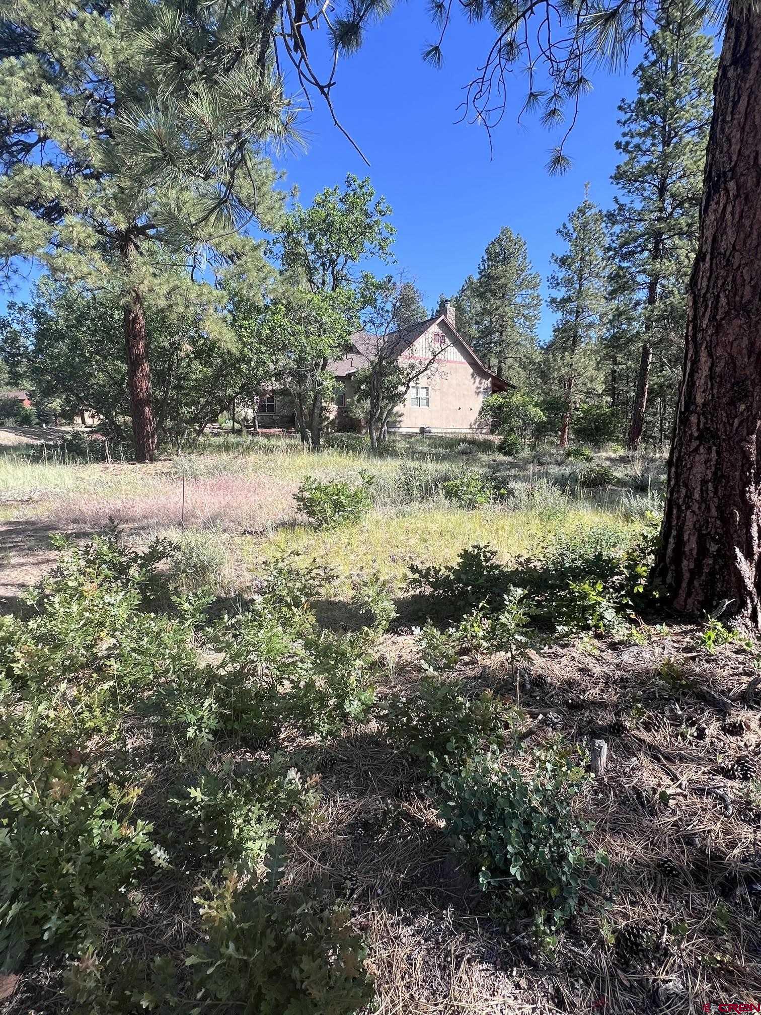 250 Copper Rim Trail Durango, CO 81301 - Photo 4 of 11