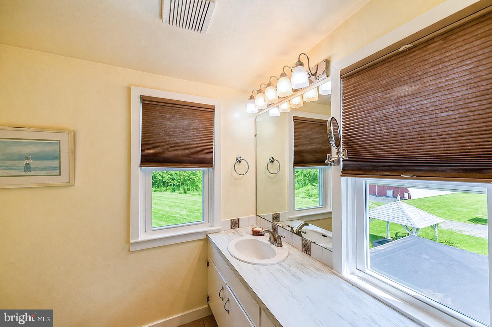 222 Blue School Road Perkasie, PA 18944 - Photo 49 of 77 a bathroom with a double vanity sink and a large mirror