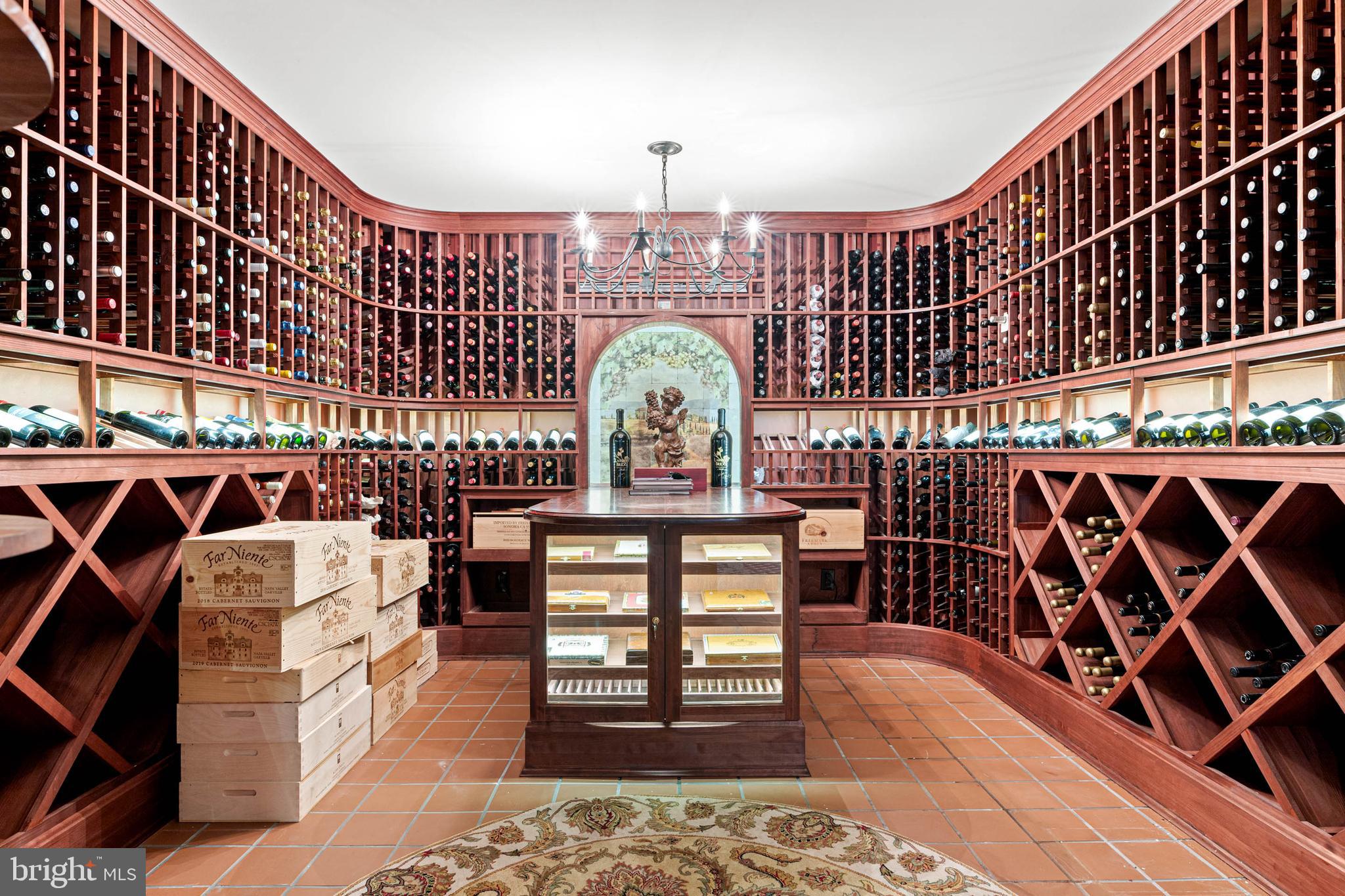 1075 South Leopard Road Berwyn, PA 19312 - Photo 96 of 111 Wine Celler