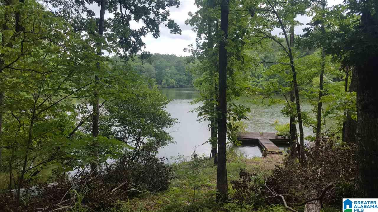 11-acres Deer Run Road, Unit 148330000001 010 Alabaster, AL 35007 - Photo 25 of 34