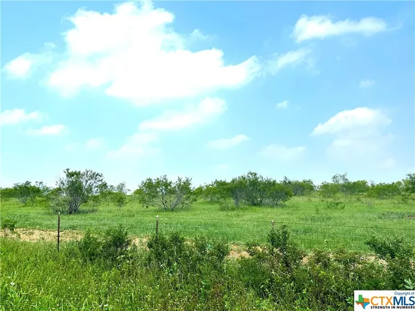 a view of a green field with lots of bushes