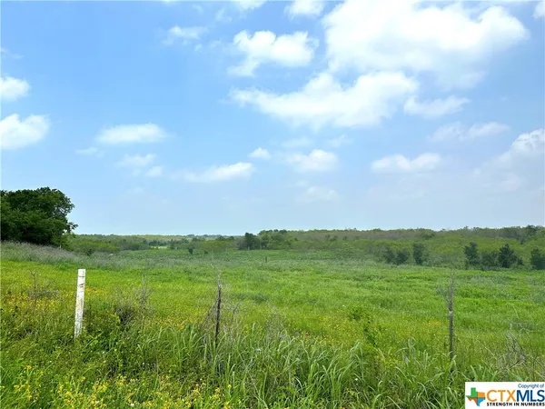 a view of a green field with lots of green space