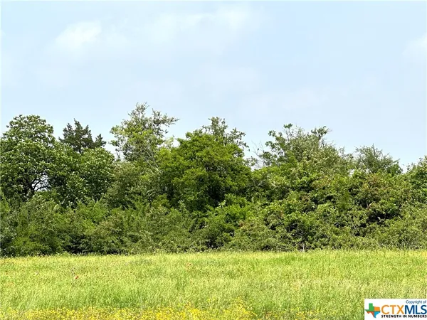 a view of a yard with plants and wooden fence