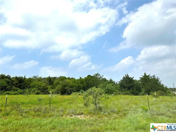 a view of an outdoor space and yard