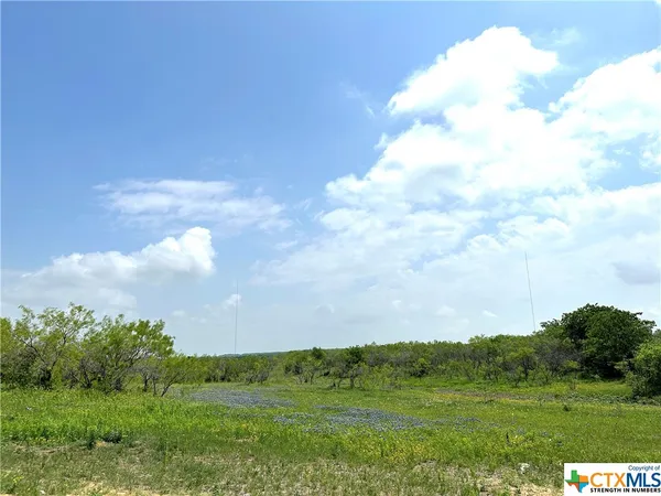 a view of a big yard with a large trees