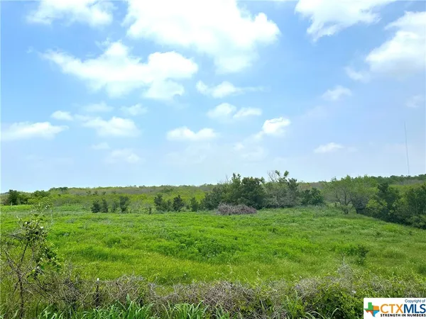 a view of a big yard with lots of green space