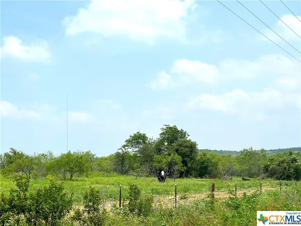 a view of a city with lush green forest