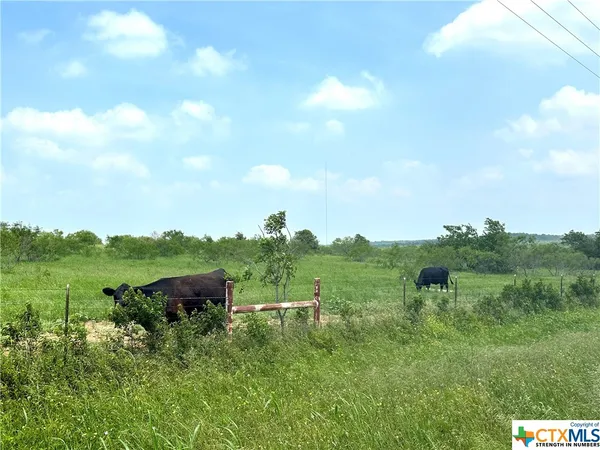 a view of a lush green space with houses in the back
