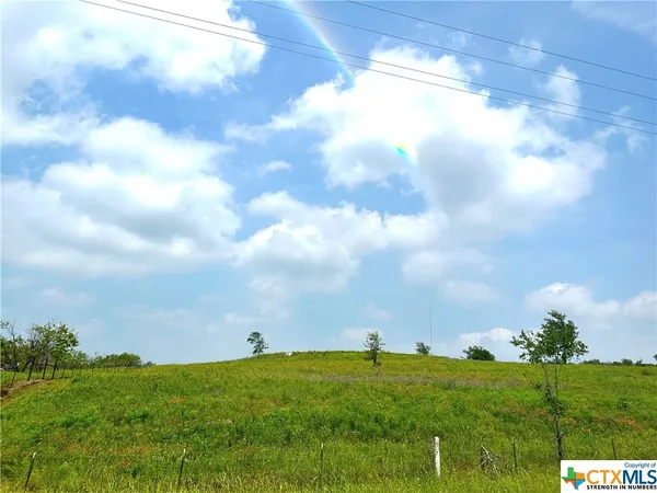 a view of a big yard with lots of green space
