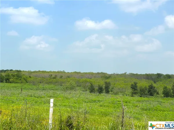 a view of grassy field with trees