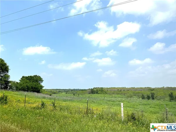 a view of grassy field with trees