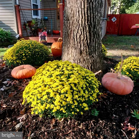 a view of a backyard with plants and brick wall