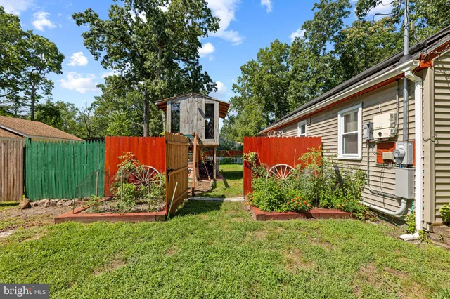 a view of backyard with wooden fence and a large tree
