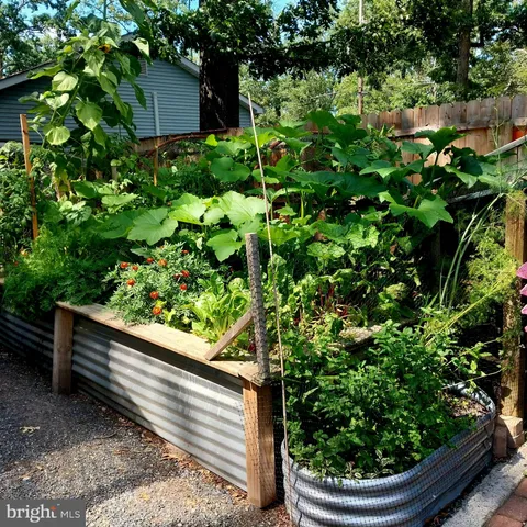 a view of a garden with a bench