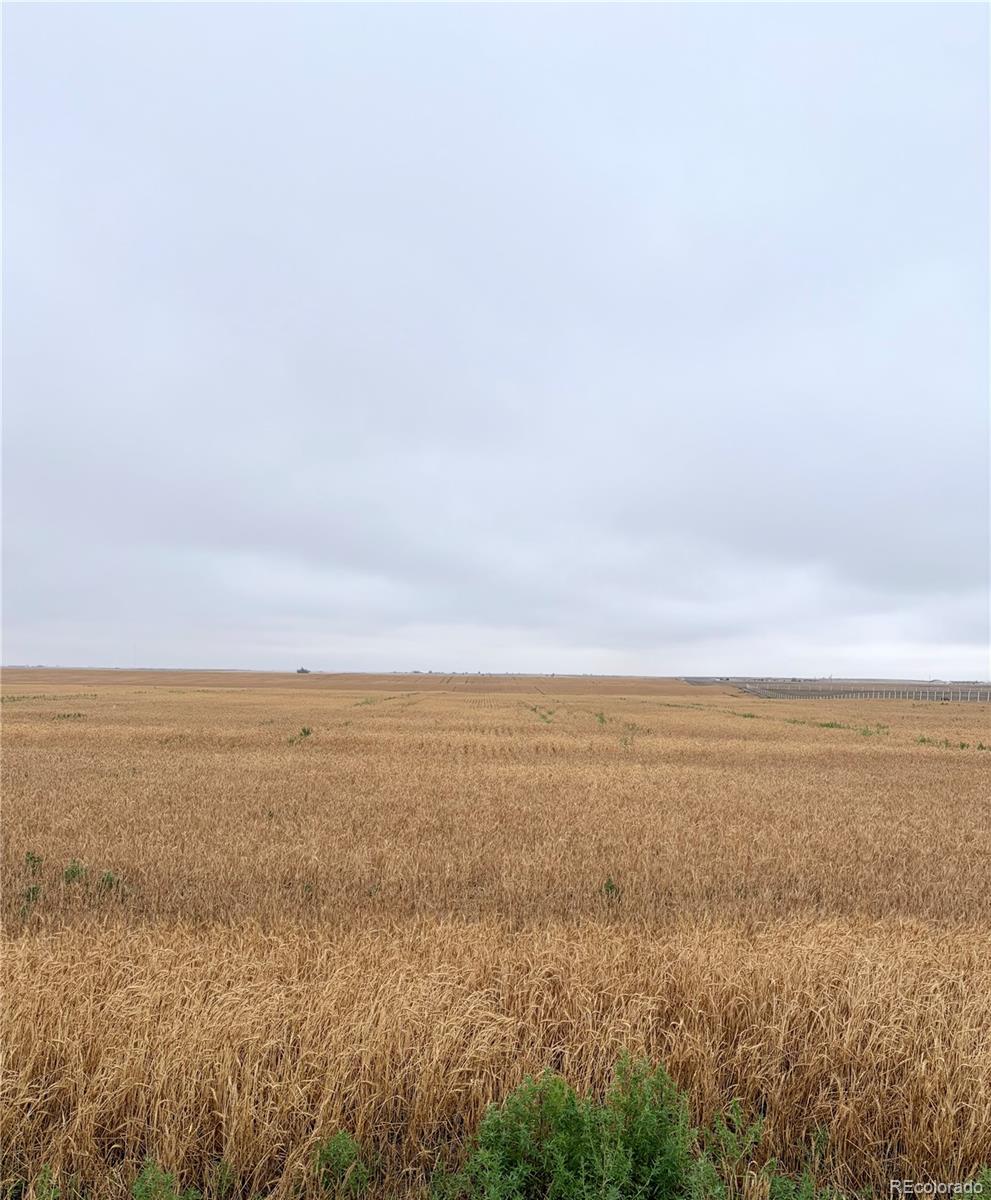 9650 North Manila Road Bennett, CO 80102 - Photo 12 of 12 a view of an ocean