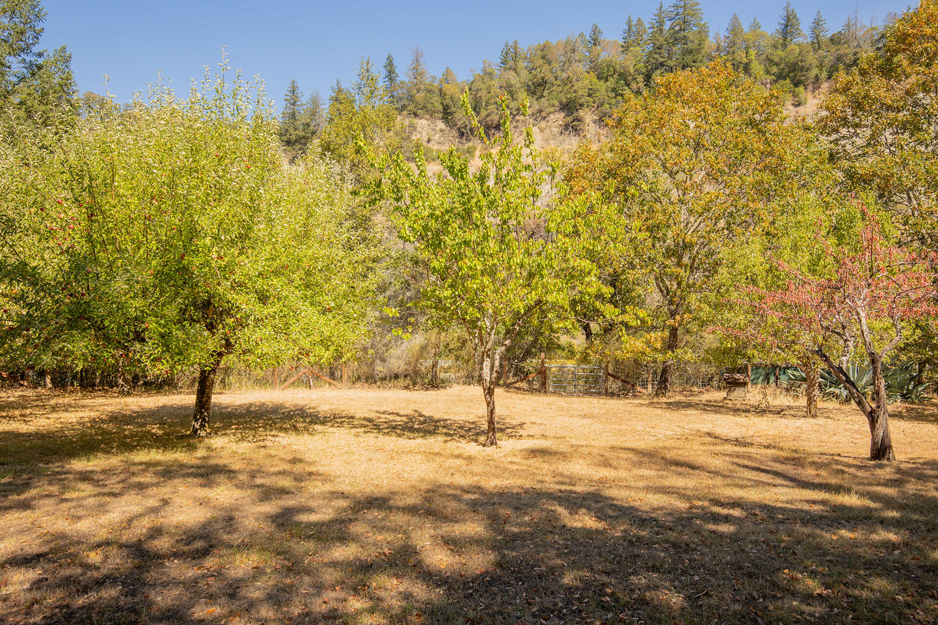 0 Bear Canyon Road Garberville, CA 95542 - Photo 68 of 107 SW__9672