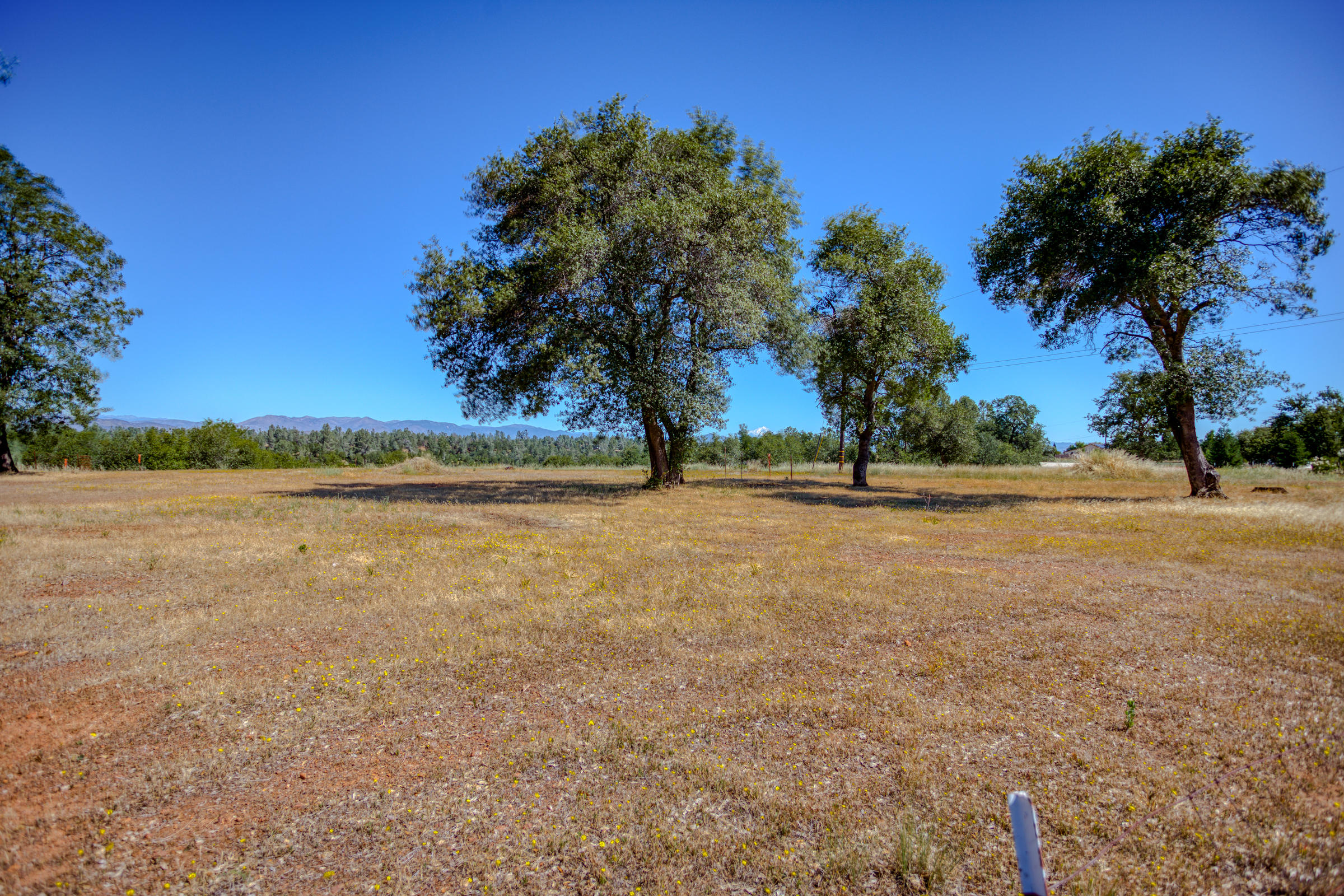 6768 Happy Valley Road Anderson, CA 96007 - Photo 3 of 20 Gorgeous parcel