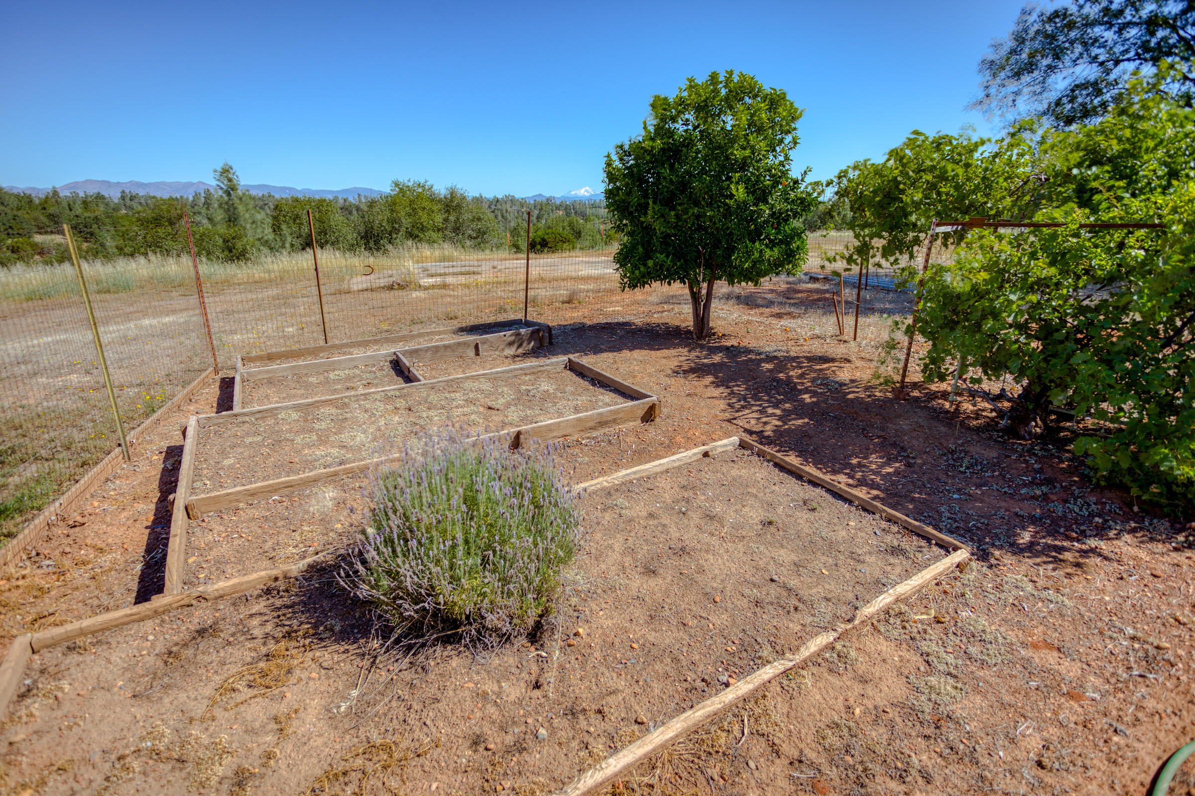 6768 Happy Valley Road Anderson, CA 96007 - Photo 7 of 20 garden beds