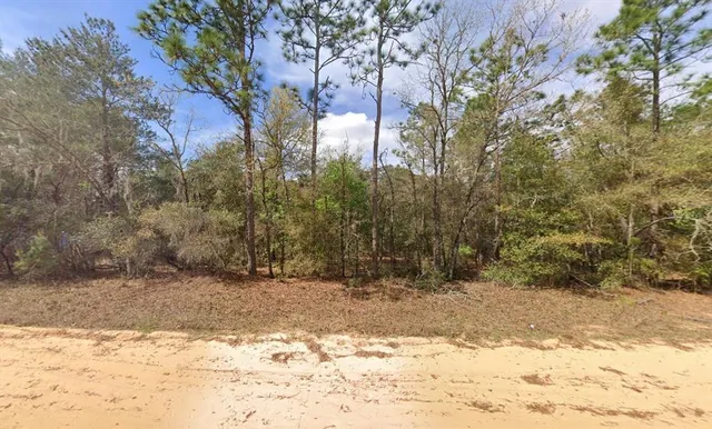 a view of a yard covered in snow