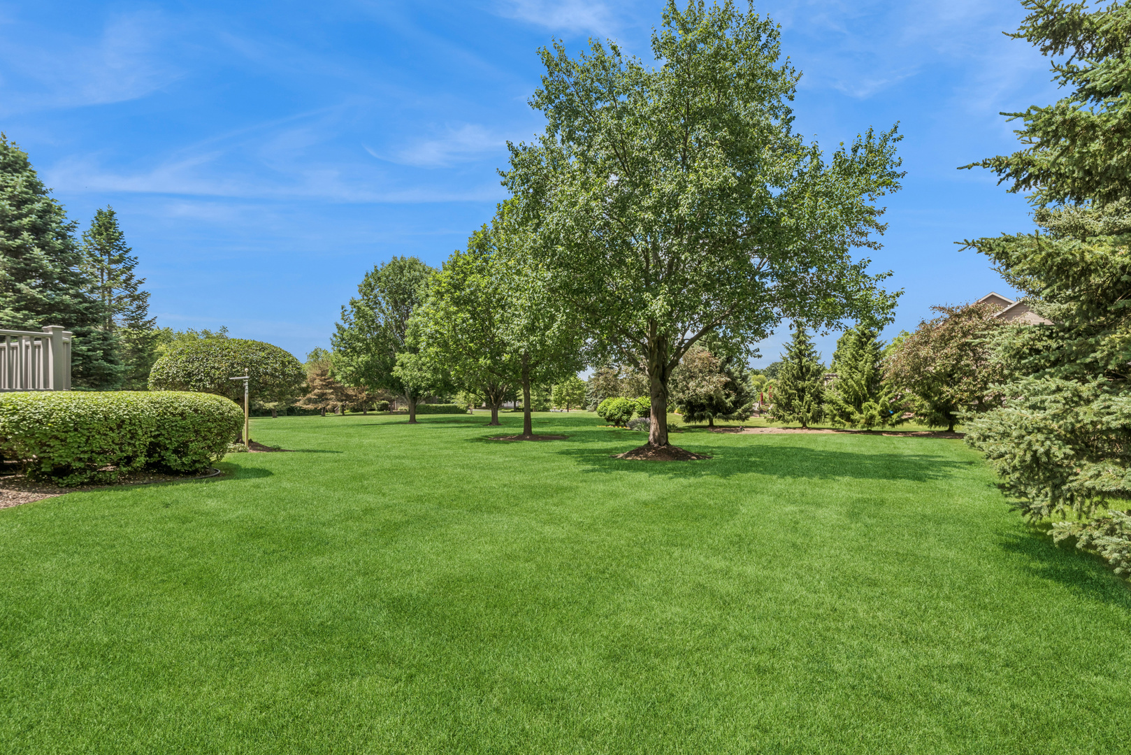 10907 Red Hawk Lane Spring Grove, IL 60071 - Photo 35 of 44 a view of a park with large trees
