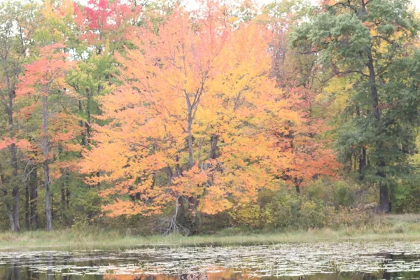 $285,000 | Tbd 60th Street Southwest, Pequot Lakes, MN 56472