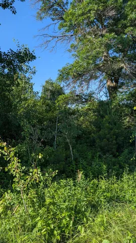 $285,000 | Tbd 60th Street Southwest, Pequot Lakes, MN 56472